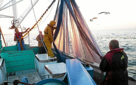 FRANCE : La fili&egrave;re de la p&ecirc;che doit recruter 2000 marins d&rsquo;ici 2030 | EUROPES | Scoop.it