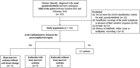 Active Inflammatory Changes around the Pubic Symphysis in Patients with Axial Spondyloarthritis: Magnetic Resonance Imaging Characteristics and Association with Clinical Factors | Rheumatology-Rhumatologie | Scoop.it