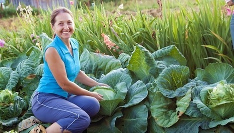 Ostéoporose : les secrets de dame nature « Association Manger Santé Bio | Bien être,santé, vitalité, environnement | Scoop.it