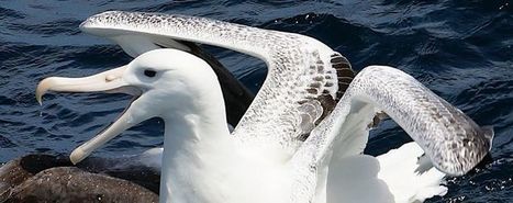 How to Fuel Corporate Innovation | Dun & Bradstreet | Business Innovation | Scoop.it