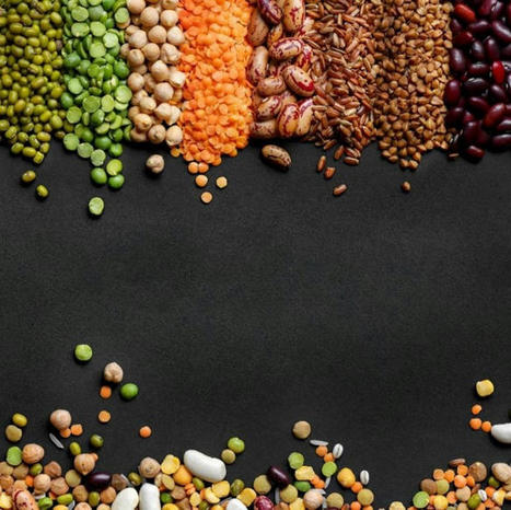 R&eacute;actions contrast&eacute;es autour de la strat&eacute;gie prot&eacute;ines v&eacute;g&eacute;tales / Ingr&eacute;dients - Process Alimentaire | AGROALIMENTAIRE | Scoop.it