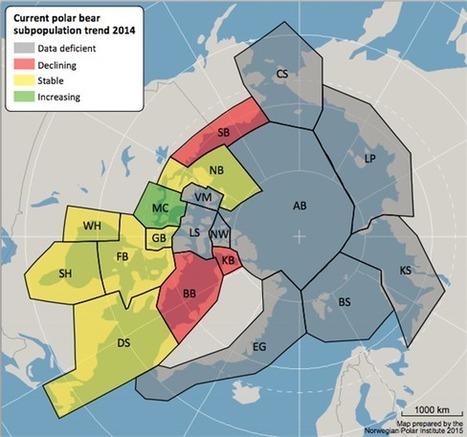 Polar bears and climate change: What does the science say? | Carbon Brief | Biodiversit&eacute; | Scoop.it