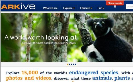 ARKive - Discover the world's most endangered species | DE TUDO UM POUCO | Scoop.it