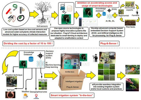An Innovative Smart and Sustainable Low-Cost Irrigation System for Anomaly Detection Using Deep Learning - MDPI | Pour innover en agriculture | Scoop.it