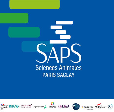 FOCUS PLATEFORME : SAPS : un collectif de recherche d’envergure internationale dédié à la biologie et à la santé | Life Sciences Université Paris-Saclay | Scoop.it