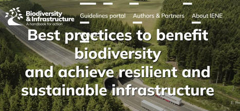 Un guide pour réconcilier infrastructures et biodiversité   | Regards croisés sur la transition écologique | Scoop.it