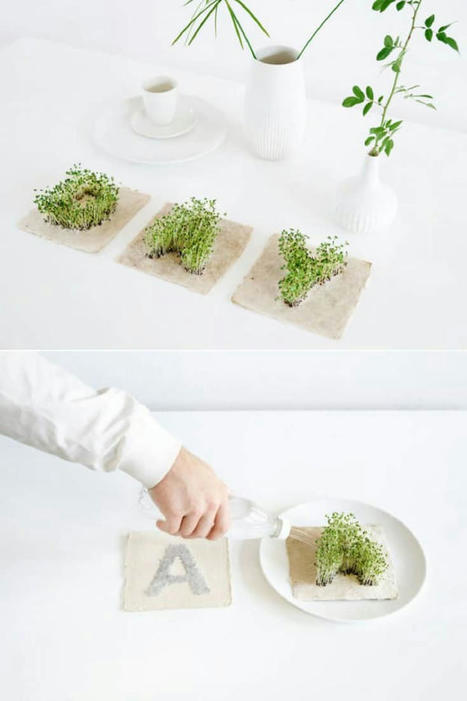 Leafling Growing Paper | 1001 Gardens ideas ! | Scoop.it