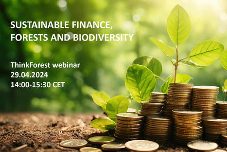 ThinkForest webinar: Sustainable Finance, FORESTS and Biodiversity | CIHEAM Press Review | Scoop.it
