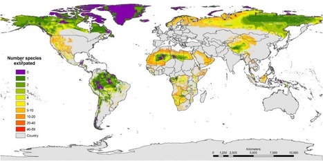 Seulement 3 % des écosystèmes mondiaux restent intacts sur le plan faunistique | ECOLOGIE - ENVIRONNEMENT | Scoop.it