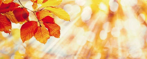 Eine Frage der Nachhaltigkeit? | EcoVadis in the News - German | Scoop.it