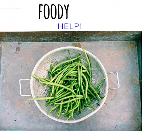 Calling All Foodies...HELP! - Curagami | Startup Revolution | Scoop.it