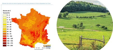 Avec Carsolel, évaluez les stocks de carbone de vos prairies | Lait de Normandie... et d'ailleurs | Scoop.it
