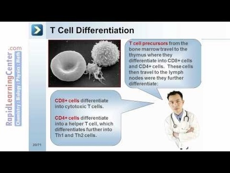 Basic Immunology I : General concepts (Introduction) - Starting my collections of Immunology Boards in Pinterest | Immunology for University Students | Scoop.it