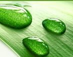 Insee - Publications et services - Développement durable | ECOLOGIE - ENVIRONNEMENT | Scoop.it
