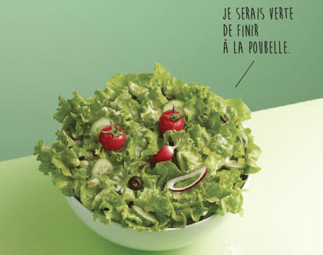 Gaspillage alimentaire : le salut dans le zéro-déchet ? | CIHEAM Press Review | Scoop.it