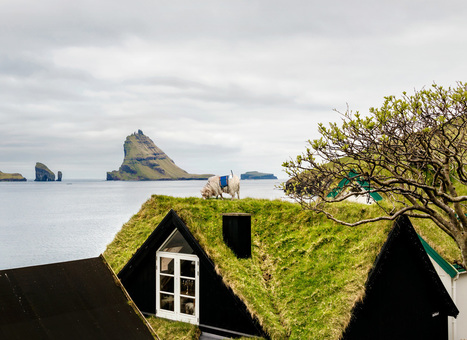 This Sheep Is Mapping The Faroe Islands By Wandering Around With A Camera | Scriveners' Trappings | Scoop.it