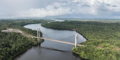 Quel est l’état de santé de l’Amazonie, la plus vaste forêt tropicale du monde ? Le Monde | Biodiversité | Scoop.it