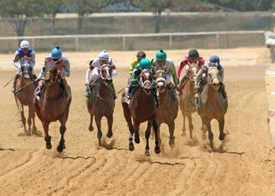 Lone Star Park Sees Attendance, Handle Increase - BloodHorse | Racing Regulatory Issues | Scoop.it