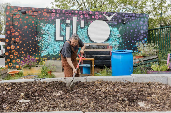 Près de Paris, des fleurs et du compost pour dépolluer les sols