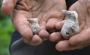 Stone ducks uncovered at Stonehenge | Science News | Scoop.it