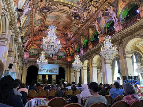 Adaptation au changement climatique : les villes au pied du mur | Paysage - Environnement | Scoop.it