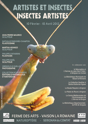Exposition "Artistes et Insectes, Insectes Artistes" à Vaison-la-Romaine (84) | Variétés entomologiques | Scoop.it