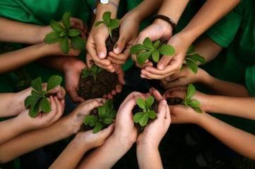 Five Ways to Develop “Ecoliteracy” | Sustainability & Education | Scoop.it