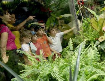 Saint-Léons. Le parc Micropolis réalise  le buzz tout l'été - La Dépêche | Variétés entomologiques | Scoop.it