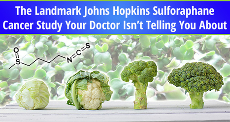 The Landmark Johns Hopkins Sulforaphane Cancer Study Your Doctor Isn’t Telling You About | The Truth About Cancer | IELTS, ESP, EAP and CALL | Scoop.it