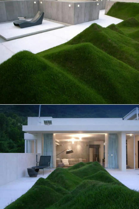 Undulating Lawn on the Terrace | 1001 Gardens ideas ! | Scoop.it