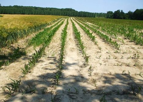 Haute-Garonne : Le comité de l’eau craint la sécheresse | La lettre de Toulouse | Scoop.it