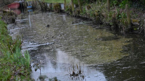 Ruminghem : pollution aux hydrocarbures dans la rivière de la Liette / 22.11.2020 | Pollution accidentelle des eaux (+ déchets plastiques) | Scoop.it