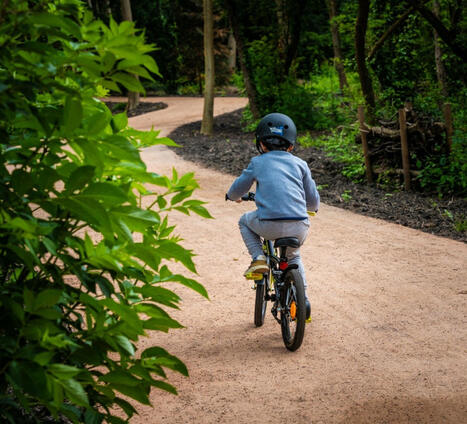 Dans le Val-d'Oise, un inventaire pour protéger la biodiversité en ville | Val-d'Oise : Aménagement et urbanisme | Scoop.it