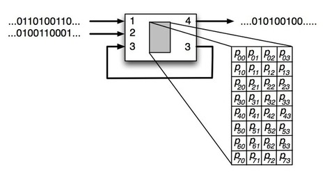 Markov Network Brains | Complex Insight  - Understanding our world | Scoop.it