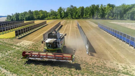 Agrivoltaïsme : le solaire peut-il faire de l’ombre à la culture du blé ? [Citation A Joffre] | Q_ENR | Scoop.it