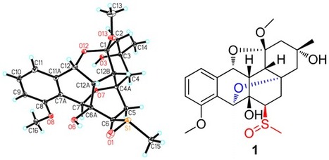 Grisemycin, a Bridged Angucyclinone with a Methylsulfinyl Moiety from a Marine-Derived Streptomyces sp. | Natural Products Chemistry Breaking News | Scoop.it