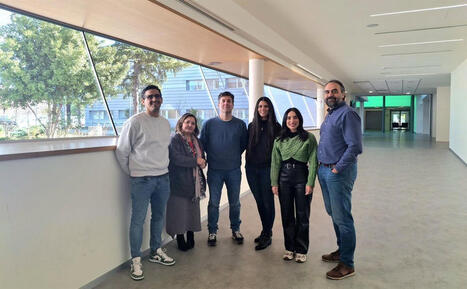 Hallan una posible nueva diana para investigar tratamientos contra el Alzheimer | Alzheimer y m&aacute;s (Bolet&iacute;n n&ordm; 83) | Scoop.it