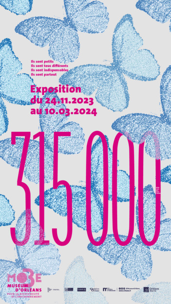 Exposition "315 000" jusqu'au 10 mars 2024 au Muséum d’Orléans pour la Biodiversité et l'Environnement | Variétés entomologiques | Scoop.it