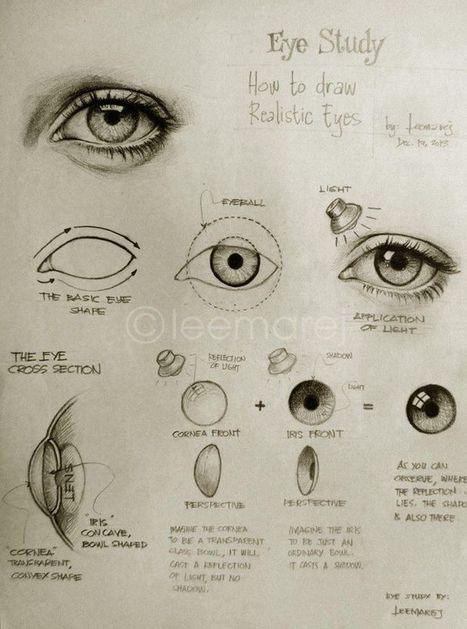How To Draw Realistic Eyes | Drawing References and Resources | Scoop.it