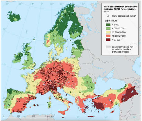 L'ozone, cet autre polluant sous-estimé, qui menace la santé et la biodiversité | EntomoNews | Scoop.it