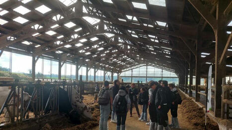 Des collégiens de l’agglomération de Concarneau à la découverte des métiers de l’agriculture - Ouest France [Abonnés] | Agriculture et communication positive | Scoop.it