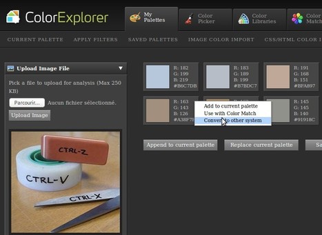 Color Explorer : générer une palette de couleurs à partir d'une image | Pédagogie & Technologie | Scoop.it
