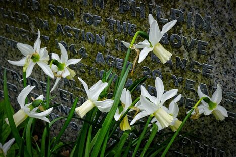 Dec. 20 obituaries &ndash; | Industry 411 - Waste Management | Scoop.it