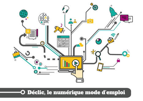 Déclic ! Le numérique mode d’emploi Connecté(e) à la nature – Joué-lès-Tours le 21 mai 2025 | Variétés entomologiques | Scoop.it