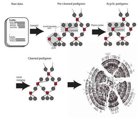 Quantitative analysis of population-scale family trees with millions of relatives | #SNA #GenealogicalData | Influence et contagion | Scoop.it