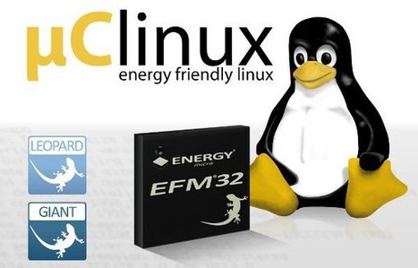 Pengutronix uCLinux 3.2 for Energy Micro EFM32 Cortex-M3 Gecko MCUs | CNXSoft &ndash; Embedded Software Development | Embedded Systems News | Scoop.it