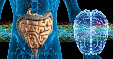 Stress, the Gut Microbiota & Intestinal Barrier Function | El Paso, TX Chiropractor | Call: 915-850-0900 | Functional Medicine "Advancing The Medical Health Model" | Scoop.it