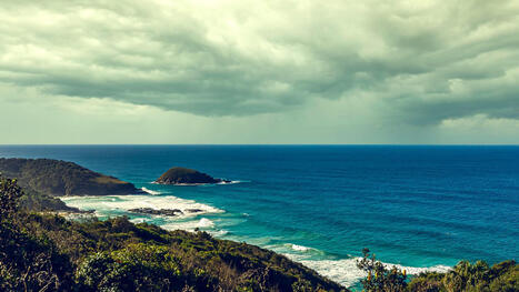 Major industry under fire after causing millions of animal deaths: 'There's just silence' - The Cool Down | Operation Deimos | Scoop.it