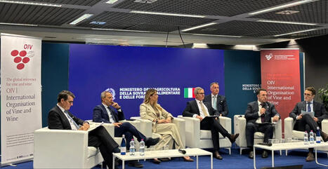 VITICULTURE: Vinitaly 2026: OIV highlights the cultural value of vine and wine in a global perspective | OIV | CIHEAM Press Review | Scoop.it