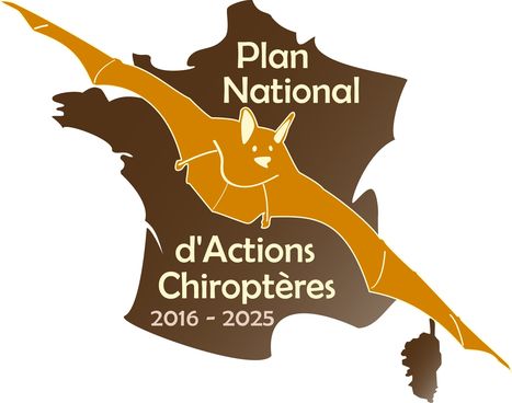 Actualités Chiroptères par PNA Chiroptères | Biodiversité | Scoop.it